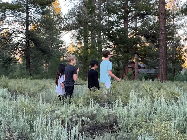 Walking through a sagebrush meadow